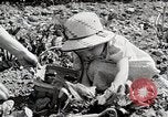 Image farm life Michigan United States USA, 1941, de la seconde 28 séquences d'archives historiques vidéo 65675025817