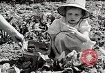 Image farm life Michigan United States USA, 1941, de la seconde 30 séquences d'archives historiques vidéo 65675025817