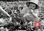 Image farm life Michigan United States USA, 1941, de la seconde 31 séquences d'archives historiques vidéo 65675025817