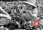 Image farm life Michigan United States USA, 1941, de la seconde 32 séquences d'archives historiques vidéo 65675025817
