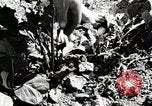 Image farm life Michigan United States USA, 1941, de la seconde 41 séquences d'archives historiques vidéo 65675025817