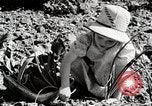 Image farm life Michigan United States USA, 1941, de la seconde 55 séquences d'archives historiques vidéo 65675025817