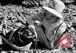 Image farm life Michigan United States USA, 1941, de la seconde 56 séquences d'archives historiques vidéo 65675025817