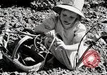 Image farm life Michigan United States USA, 1941, de la seconde 57 séquences d'archives historiques vidéo 65675025817