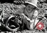 Image farm life Michigan United States USA, 1941, de la seconde 58 séquences d'archives historiques vidéo 65675025817