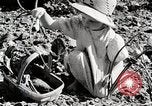 Image farm life Michigan United States USA, 1941, de la seconde 60 séquences d'archives historiques vidéo 65675025817