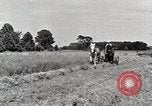 Standbild Farm Life Michigan United States USA, 1941, aus Sekunde 7 historischem Filmmaterial Videoclip 65675025818