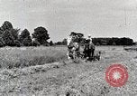 Standbild Farm Life Michigan United States USA, 1941, aus Sekunde 11 historischem Filmmaterial Videoclip 65675025818