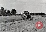 Standbild Farm Life Michigan United States USA, 1941, aus Sekunde 12 historischem Filmmaterial Videoclip 65675025818