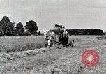 Standbild Farm Life Michigan United States USA, 1941, aus Sekunde 13 historischem Filmmaterial Videoclip 65675025818