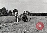 Standbild Farm Life Michigan United States USA, 1941, aus Sekunde 16 historischem Filmmaterial Videoclip 65675025818