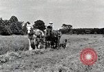 Standbild Farm Life Michigan United States USA, 1941, aus Sekunde 18 historischem Filmmaterial Videoclip 65675025818