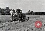 Standbild Farm Life Michigan United States USA, 1941, aus Sekunde 19 historischem Filmmaterial Videoclip 65675025818