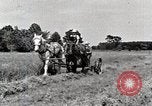 Standbild Farm Life Michigan United States USA, 1941, aus Sekunde 20 historischem Filmmaterial Videoclip 65675025818