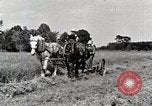 Standbild Farm Life Michigan United States USA, 1941, aus Sekunde 21 historischem Filmmaterial Videoclip 65675025818