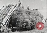 Standbild Farm Life Michigan United States USA, 1941, aus Sekunde 44 historischem Filmmaterial Videoclip 65675025819