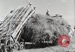 Standbild Farm Life Michigan United States USA, 1941, aus Sekunde 45 historischem Filmmaterial Videoclip 65675025819