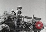Standbild Farm Life Michigan United States USA, 1941, aus Sekunde 51 historischem Filmmaterial Videoclip 65675025819
