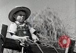 Standbild Farm Life Michigan United States USA, 1941, aus Sekunde 59 historischem Filmmaterial Videoclip 65675025819