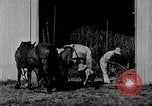 Immagine di Fattoria Michigan United States USA, 1941, secondo 7 filmato di repertorio 65675025820