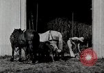 Immagine di Fattoria Michigan United States USA, 1941, secondo 8 filmato di repertorio 65675025820
