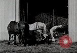 Immagine di Fattoria Michigan United States USA, 1941, secondo 9 filmato di repertorio 65675025820