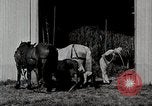 Immagine di Fattoria Michigan United States USA, 1941, secondo 10 filmato di repertorio 65675025820