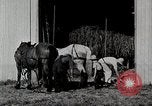 Immagine di Fattoria Michigan United States USA, 1941, secondo 11 filmato di repertorio 65675025820