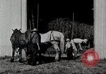 Immagine di Fattoria Michigan United States USA, 1941, secondo 12 filmato di repertorio 65675025820