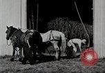 Immagine di Fattoria Michigan United States USA, 1941, secondo 13 filmato di repertorio 65675025820