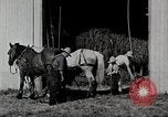 Immagine di Fattoria Michigan United States USA, 1941, secondo 14 filmato di repertorio 65675025820