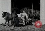 Immagine di Fattoria Michigan United States USA, 1941, secondo 16 filmato di repertorio 65675025820