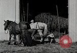 Immagine di Fattoria Michigan United States USA, 1941, secondo 17 filmato di repertorio 65675025820