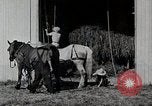 Immagine di Fattoria Michigan United States USA, 1941, secondo 19 filmato di repertorio 65675025820