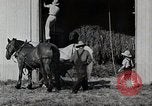 Immagine di Fattoria Michigan United States USA, 1941, secondo 23 filmato di repertorio 65675025820