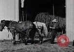 Immagine di Fattoria Michigan United States USA, 1941, secondo 27 filmato di repertorio 65675025820