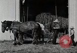 Immagine di Fattoria Michigan United States USA, 1941, secondo 28 filmato di repertorio 65675025820