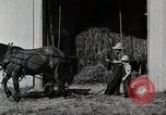 Immagine di Fattoria Michigan United States USA, 1941, secondo 31 filmato di repertorio 65675025820