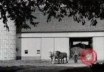 Immagine di Fattoria Michigan United States USA, 1941, secondo 54 filmato di repertorio 65675025820