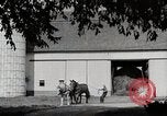 Immagine di Fattoria Michigan United States USA, 1941, secondo 58 filmato di repertorio 65675025820