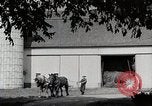 Immagine di Fattoria Michigan United States USA, 1941, secondo 61 filmato di repertorio 65675025820