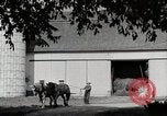 Immagine di Fattoria Michigan United States USA, 1941, secondo 62 filmato di repertorio 65675025820
