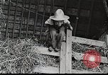 Standbild Farm Life Michigan United States USA, 1941, aus Sekunde 11 historischem Filmmaterial Videoclip 65675025821