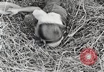Standbild Farm Life Michigan United States USA, 1941, aus Sekunde 14 historischem Filmmaterial Videoclip 65675025821