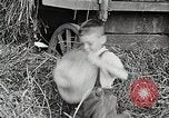 Standbild Farm Life Michigan United States USA, 1941, aus Sekunde 16 historischem Filmmaterial Videoclip 65675025821