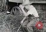 Standbild Farm Life Michigan United States USA, 1941, aus Sekunde 17 historischem Filmmaterial Videoclip 65675025821