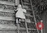 Standbild Farm Life Michigan United States USA, 1941, aus Sekunde 18 historischem Filmmaterial Videoclip 65675025821