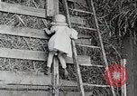 Standbild Farm Life Michigan United States USA, 1941, aus Sekunde 19 historischem Filmmaterial Videoclip 65675025821