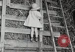 Standbild Farm Life Michigan United States USA, 1941, aus Sekunde 22 historischem Filmmaterial Videoclip 65675025821