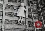 Standbild Farm Life Michigan United States USA, 1941, aus Sekunde 23 historischem Filmmaterial Videoclip 65675025821